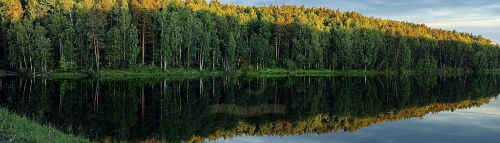 Реестр образовательных маршрутов